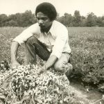 New Communities Inc.