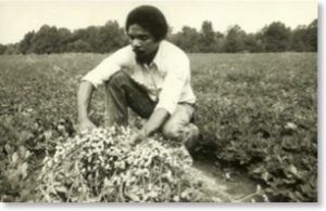 Stanley in the Fields