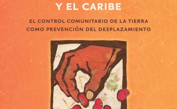 La inseguridad de la tenencia de la tierra en América Latina y el Caribe book cover